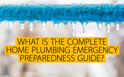 WHAT IS THE COMPLETE HOME PLUMBING EMERGENCY PREPAREDNESS GUIDE?